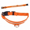 OBROŻA ŚWIECĄCA LED 3 tryby DLA PSA KOTA 34-42CM