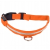 OBROŻA ŚWIECĄCA LED 3 tryby DLA PSA KOTA 34-42CM