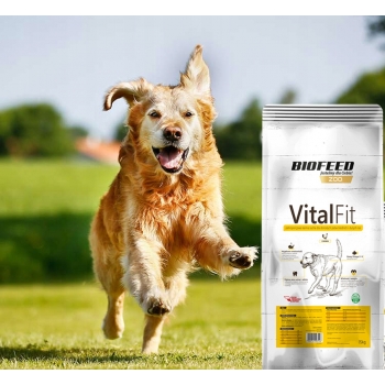 VITALFIT KARMA DLA PSA ŚREDNIE DUŻE RASY DRÓB 15KG