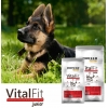 VITALFIT KARMA DLA SZCZENIĄT JUNIOR WOŁOWINA 15KG