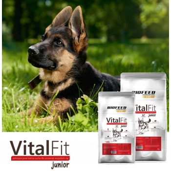 VITALFIT KARMA DLA SZCZENIĄT JUNIOR WOŁOWINA 15KG