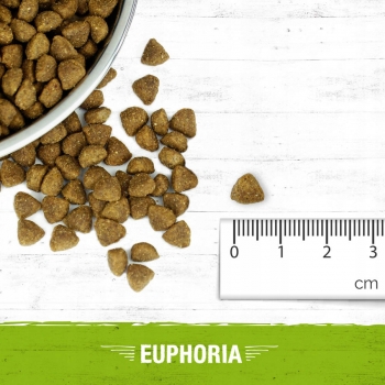 KARMA DLA SZCZENIĄT JAGNIĘCINA GLUTEN FREE 2KG