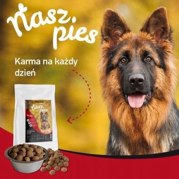KARMA DLA PSA DOROSŁEGO Z WOŁOWINĄ NASZ PIES 15KG