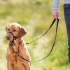 SZELKI TRENINGOWE TOP TRAINER DLA PSA TRIXIE M