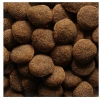 SUCHA KARMA DLA PSA WOŁOWINA 10KG + 2x1250g MOKRA