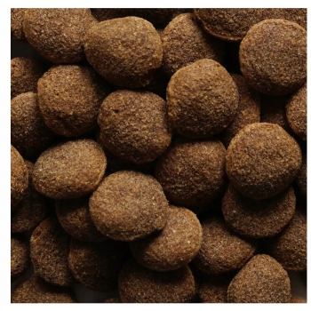 SUCHA KARMA DLA PSA WOŁOWINA 10KG + 2x1250g MOKRA