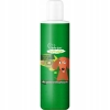 OWOCOWY SZAMPON Z KIWI DLA PSÓW KRÓTKOWŁOSYCH 200ML