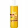 OWOCOWY SZAMPON Z MANGO DLA PSÓW DŁUGOWŁOSYCH 200ML