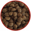 SUCHA KARMA DLA PSA TASTY DOGS LIFE WOŁOWINA 15KG ŚREDNIE I DUŻE PSY