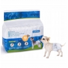 PIELUCHY PAMPERSY MAJTKI HIGIENICZNE PSA SUCZKI PSÓW KOTA 1-3KG XS 12SZT