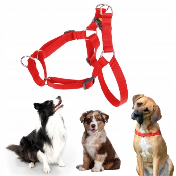 SZELKI SPACEROWE CZARNE EASY WALK DLA PSA REGULOWANE TAŚMA 2,5CM 61-90 CM
