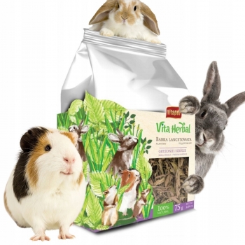 Vita Herbal ZIOŁA KARMA BABKA LANCETOWATA DLA ŚWINKI CHOMIKA KRÓLIKA 75G